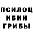 Псилоцибиновые грибы прущие грибы iJack Smith